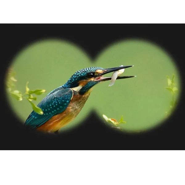 12x42 HD Binoculars Metal Body with Golden Color