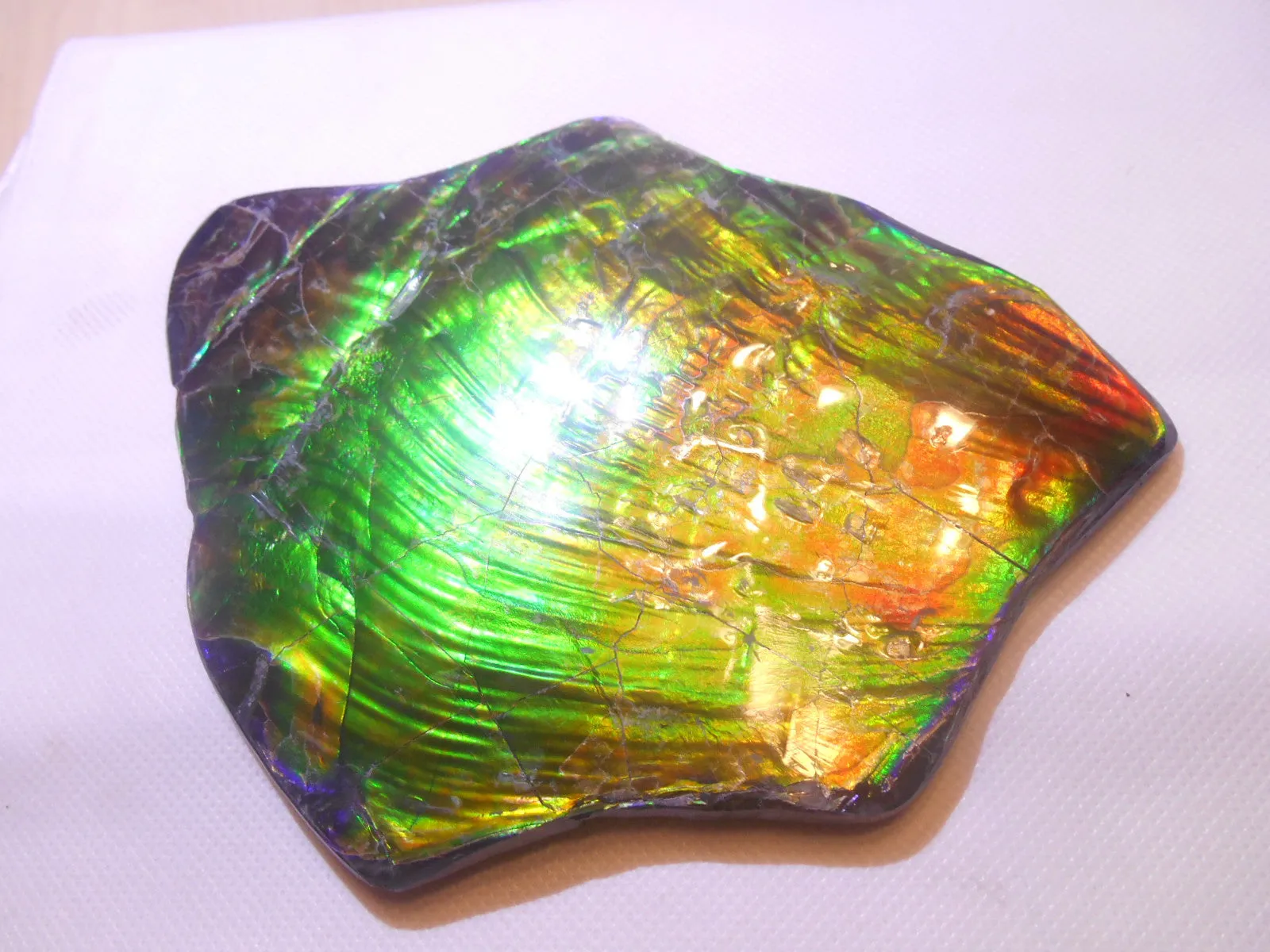 195 x 138 x 6~11mm - Collector Stone - CS-70    コレクターピース Natural HUGE AAA BLUE ZONE
