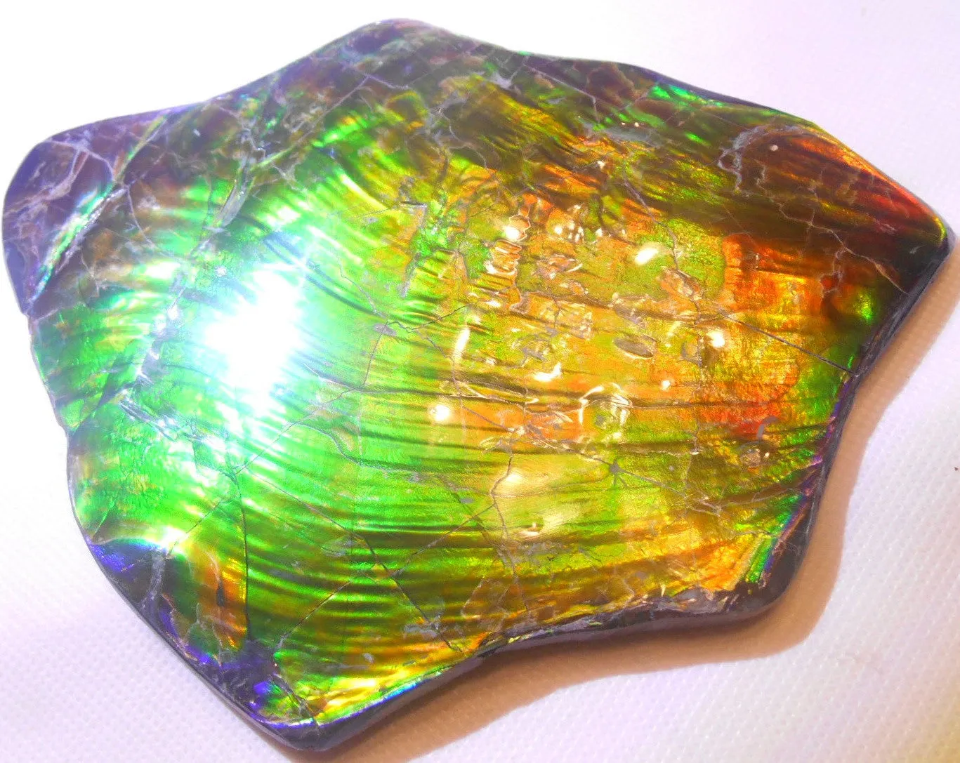 195 x 138 x 6~11mm - Collector Stone - CS-70    コレクターピース Natural HUGE AAA BLUE ZONE