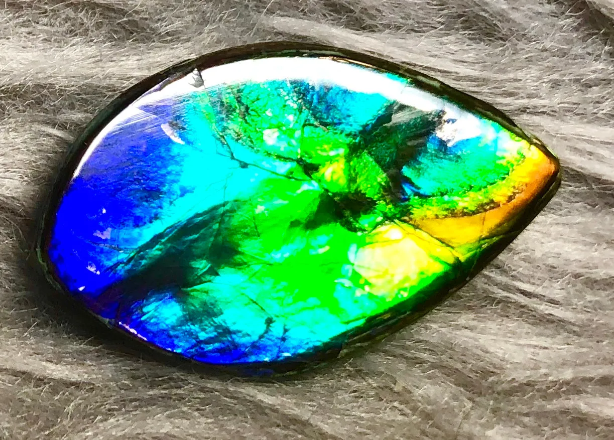 27  x 16 mm  Natural  Free Form . FFN 331 Ammolite  ナチュラル　ルース　アンモライト フリーフォーム