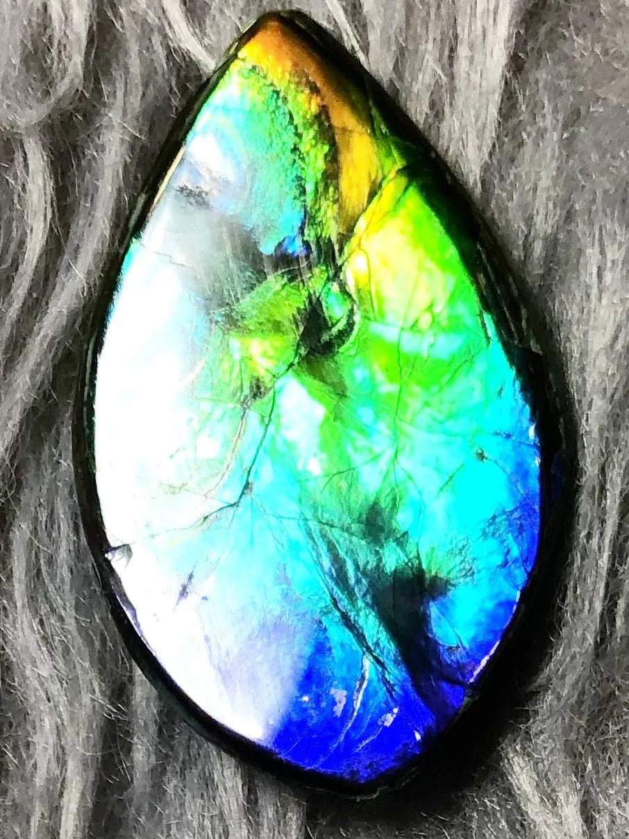 27  x 16 mm  Natural  Free Form . FFN 331 Ammolite  ナチュラル　ルース　アンモライト フリーフォーム