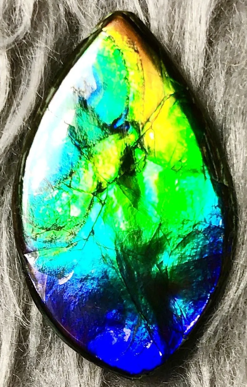27  x 16 mm  Natural  Free Form . FFN 331 Ammolite  ナチュラル　ルース　アンモライト フリーフォーム