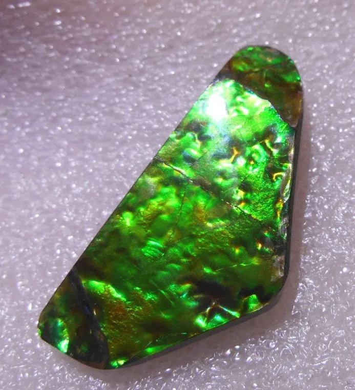 35 x 17 x 4 mm - Natural Free Form FFN 145 Ammolite ナチュラル　ルース 　アンモライト　
