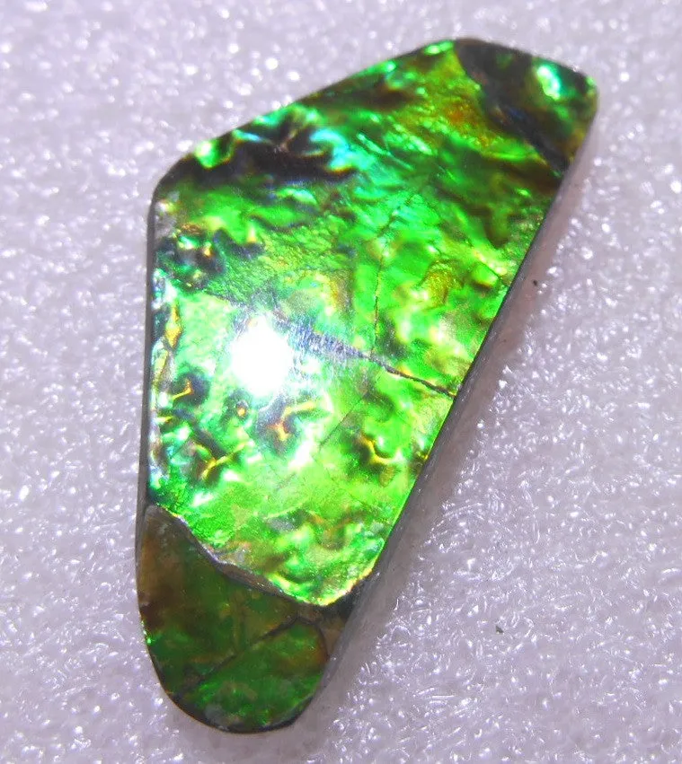 35 x 17 x 4 mm - Natural Free Form FFN 145 Ammolite ナチュラル　ルース 　アンモライト　
