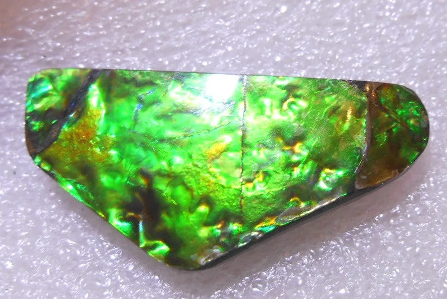 35 x 17 x 4 mm - Natural Free Form FFN 145 Ammolite ナチュラル　ルース 　アンモライト　
