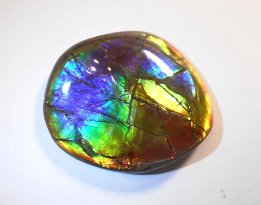 41 x 35 mm  Gorgeous Colors COLLECTOR STONE  CS-106 Ammolite コレクターストーン　アンモライト