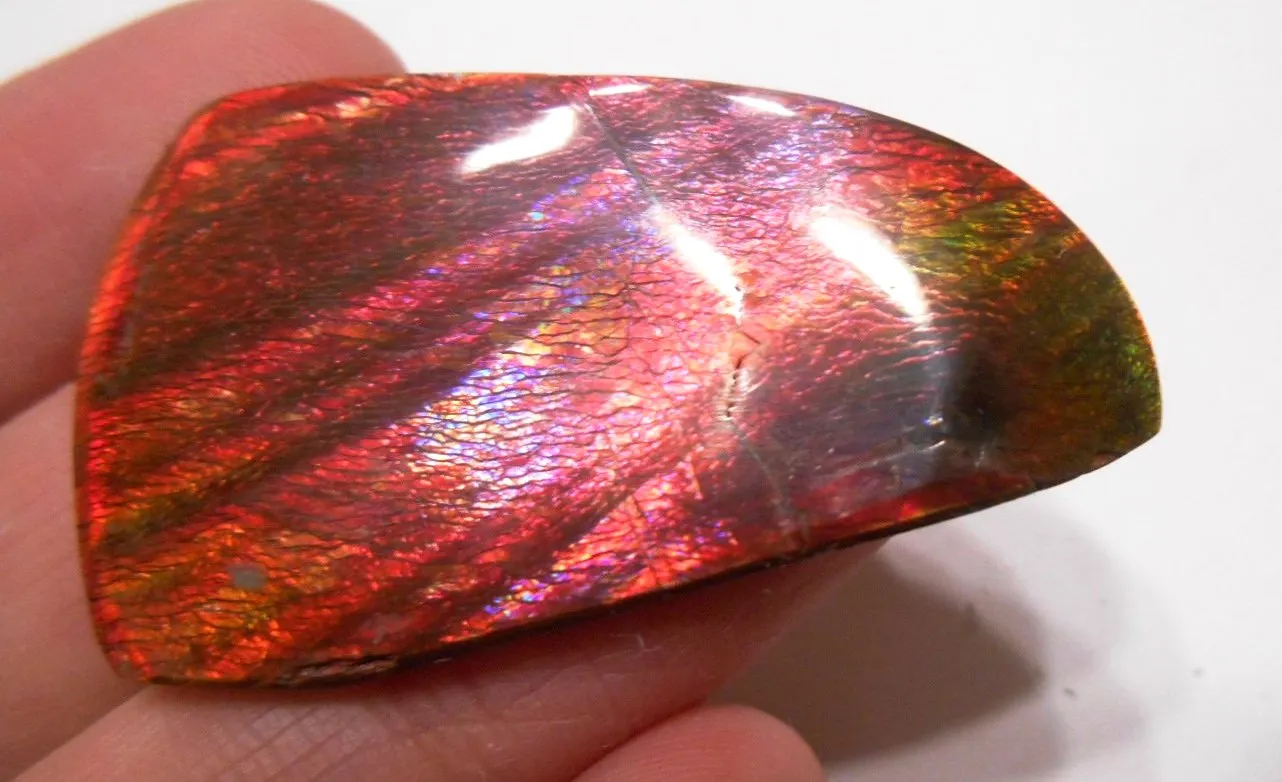 41 x 35 mm  Gorgeous Colors COLLECTOR STONE  CS-106 Ammolite コレクターストーン　アンモライト