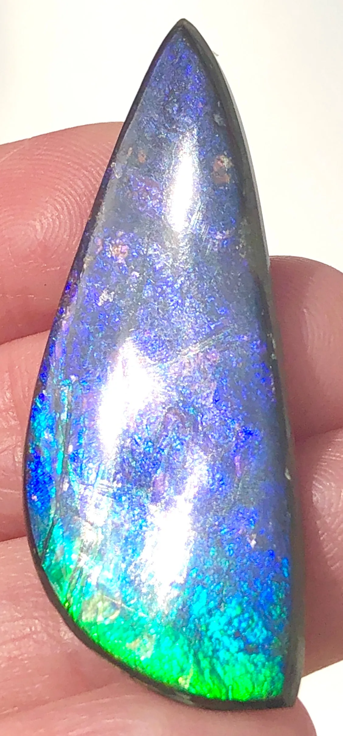 41x16mm    Natural  Free Form . FFN358  Ammolite  ナチュラル　ルース　アンモライト フリーフォーム