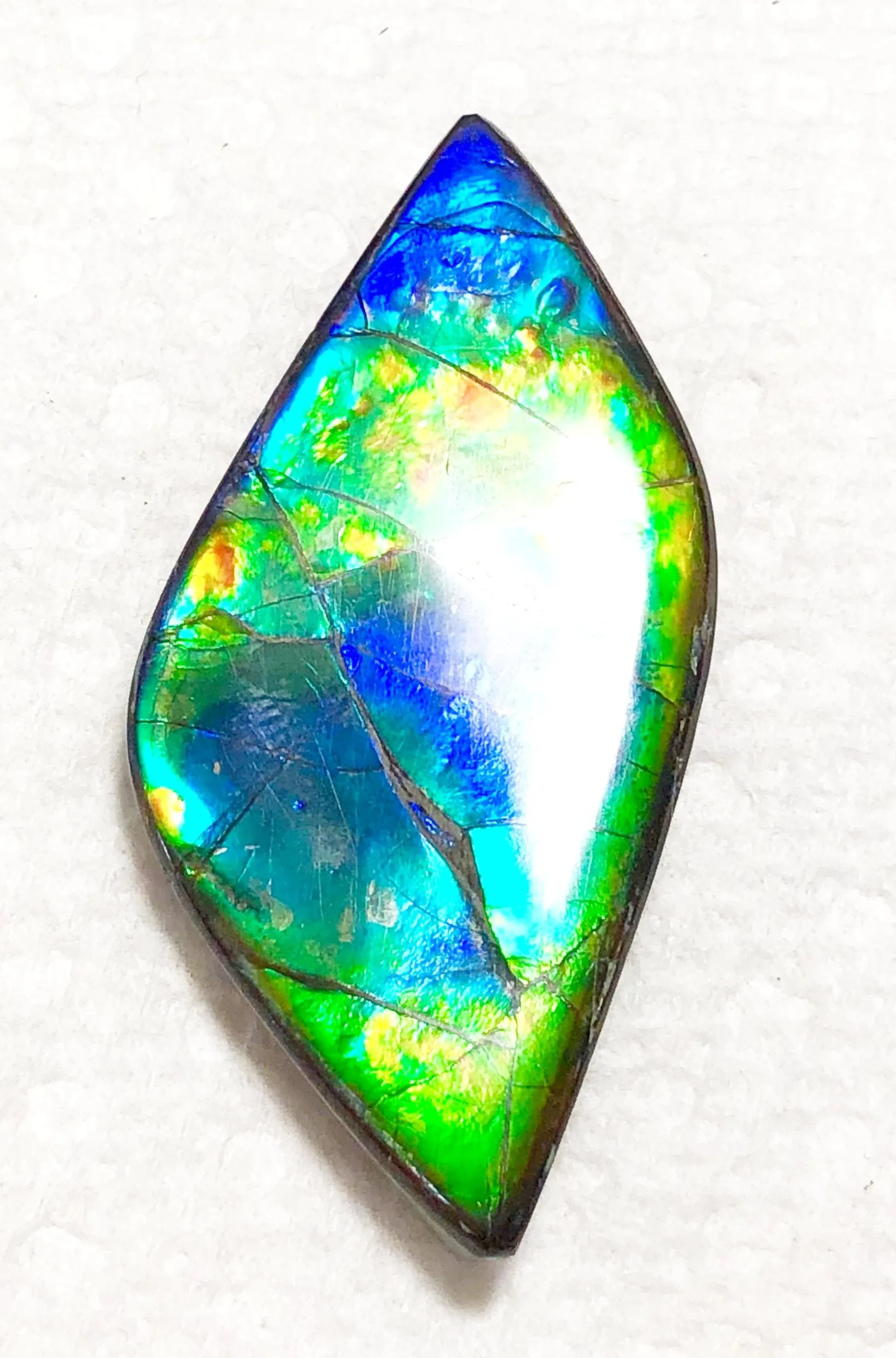 47 x 22x 5 mm  Natural  Free Form . FFNT 127 Super blue with floral pattern! Ammolite  ナチュラル　ルース　アンモライト フリーフォーム
