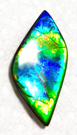 47 x 22x 5 mm  Natural  Free Form . FFNT 127 Super blue with floral pattern! Ammolite  ナチュラル　ルース　アンモライト フリーフォーム