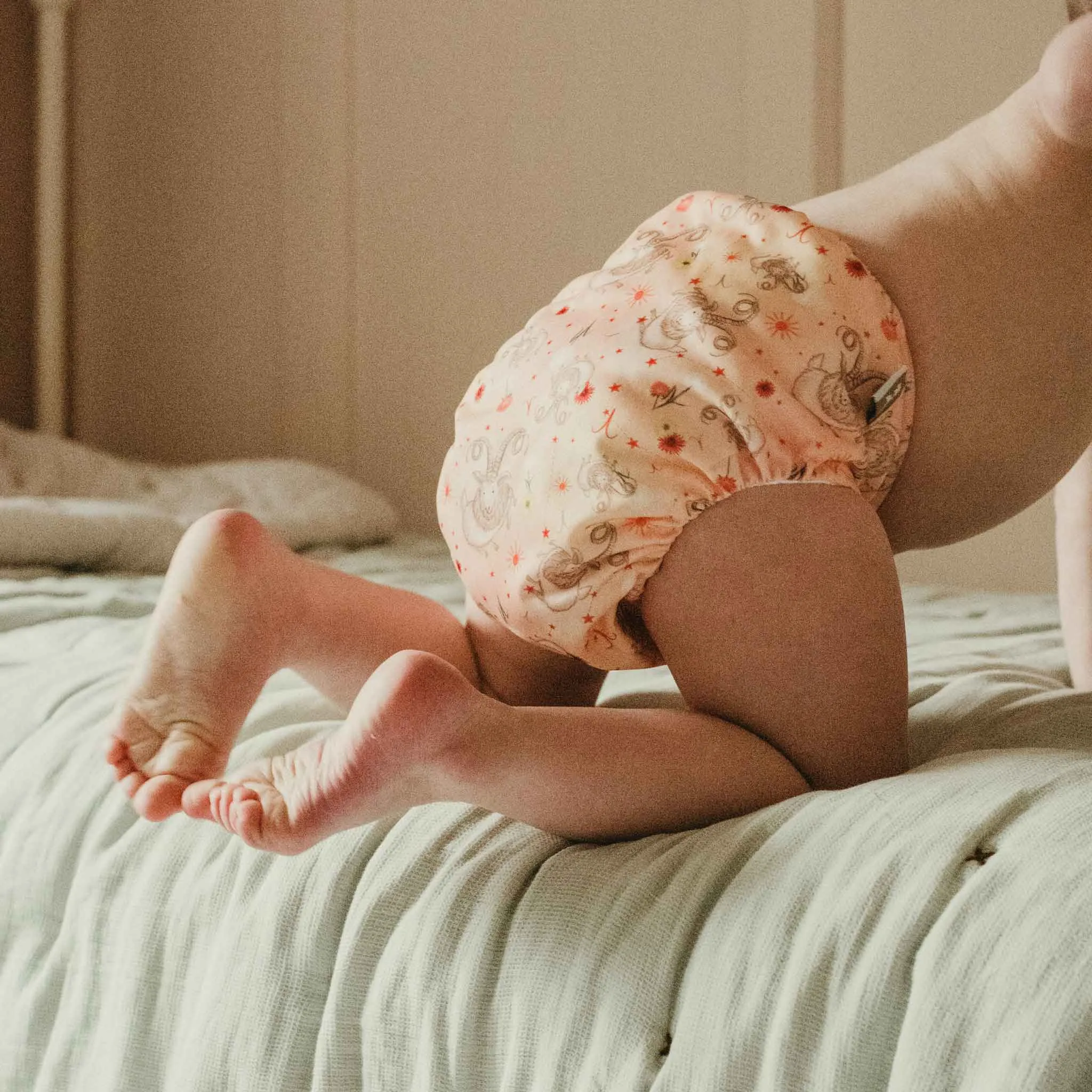 5 Pack Aries Onesize Pocket Nappy