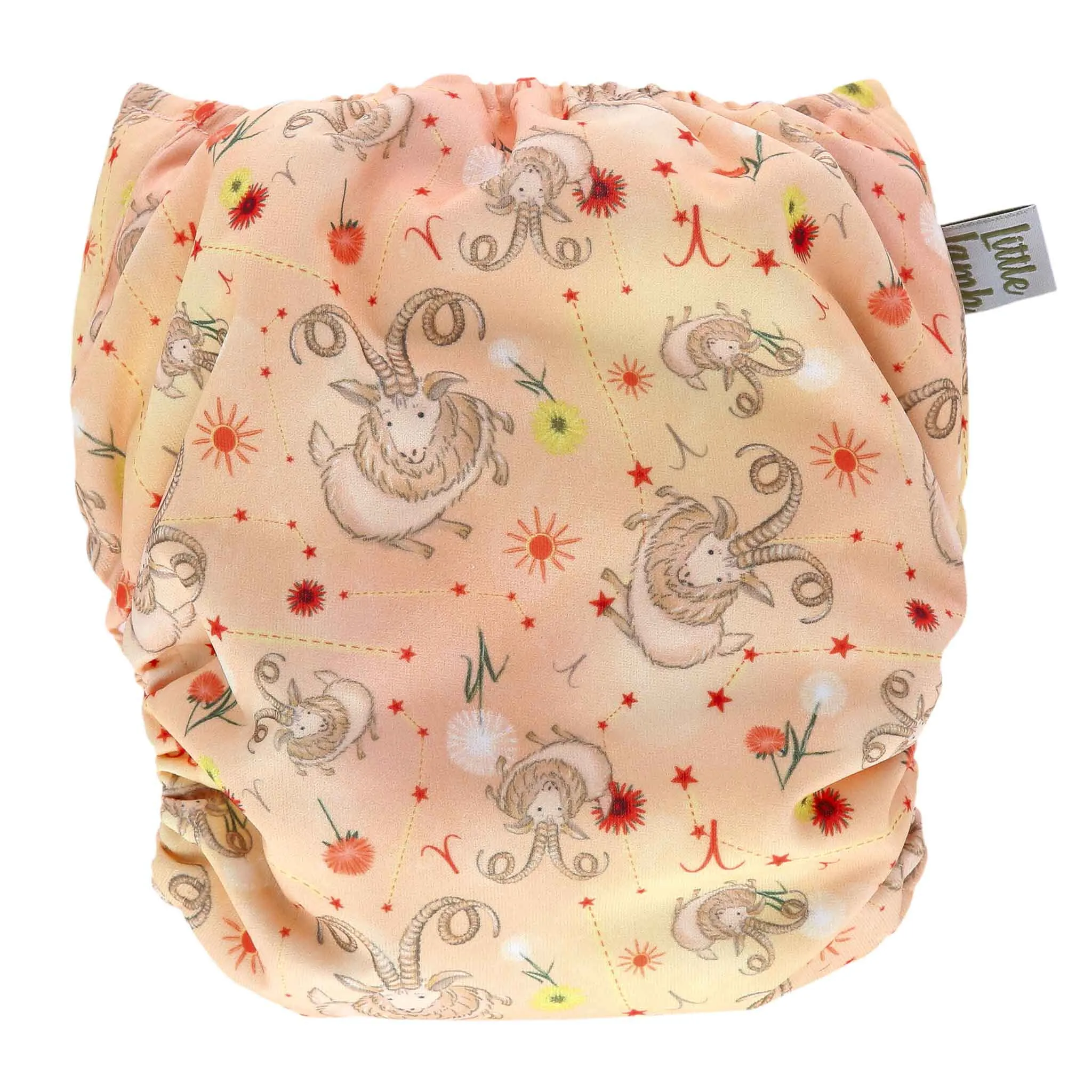 5 Pack Aries Onesize Pocket Nappy