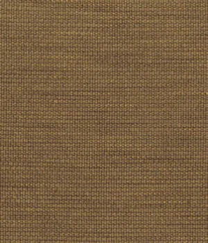5156-07 Untitled - Kahlo