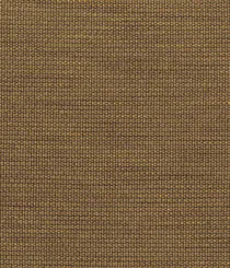 5156-07 Untitled - Kahlo