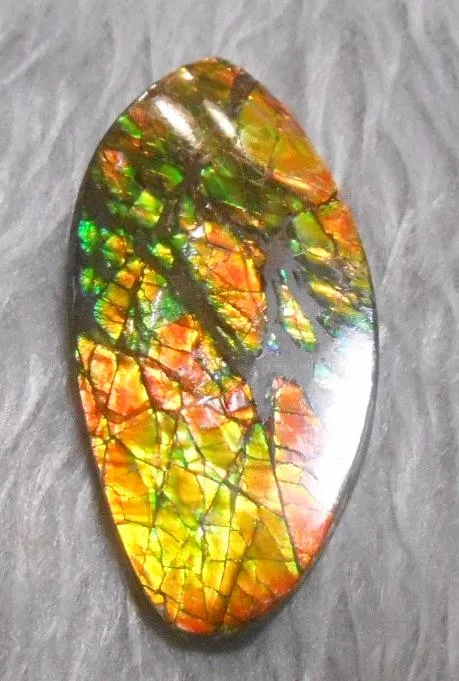 54  x 27 mm  Natural  Free Form . FFN 327 Ammolite  ナチュラル　ルース　アンモライト フリーフォーム