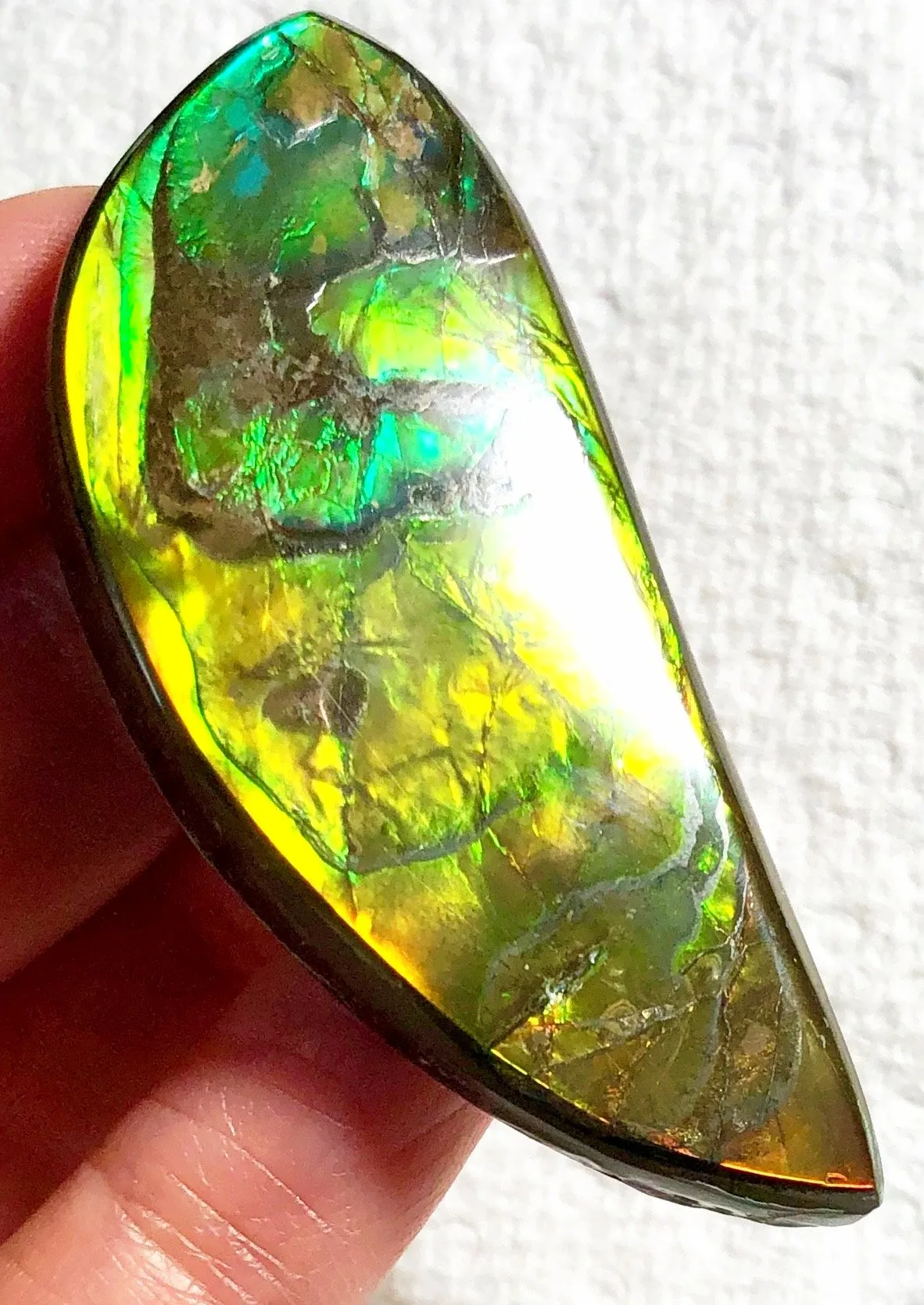 58x23x5.5mm    Natural  Free Form . FFN366  Ammolite  ナチュラル　ルース　アンモライト フリーフォーム