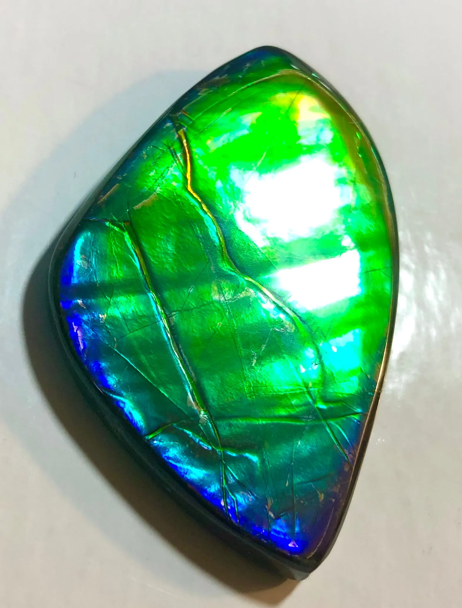 Ancient Beauty!! EXTRA LARGE!! Rainbow colors  67x40 mm  Top Grade Natural  FREE SHIPPING!  FFNT 142 Ammolite  レインボーカラー！ナチュラル　ルース　アンモライト ケース付 送料無料！