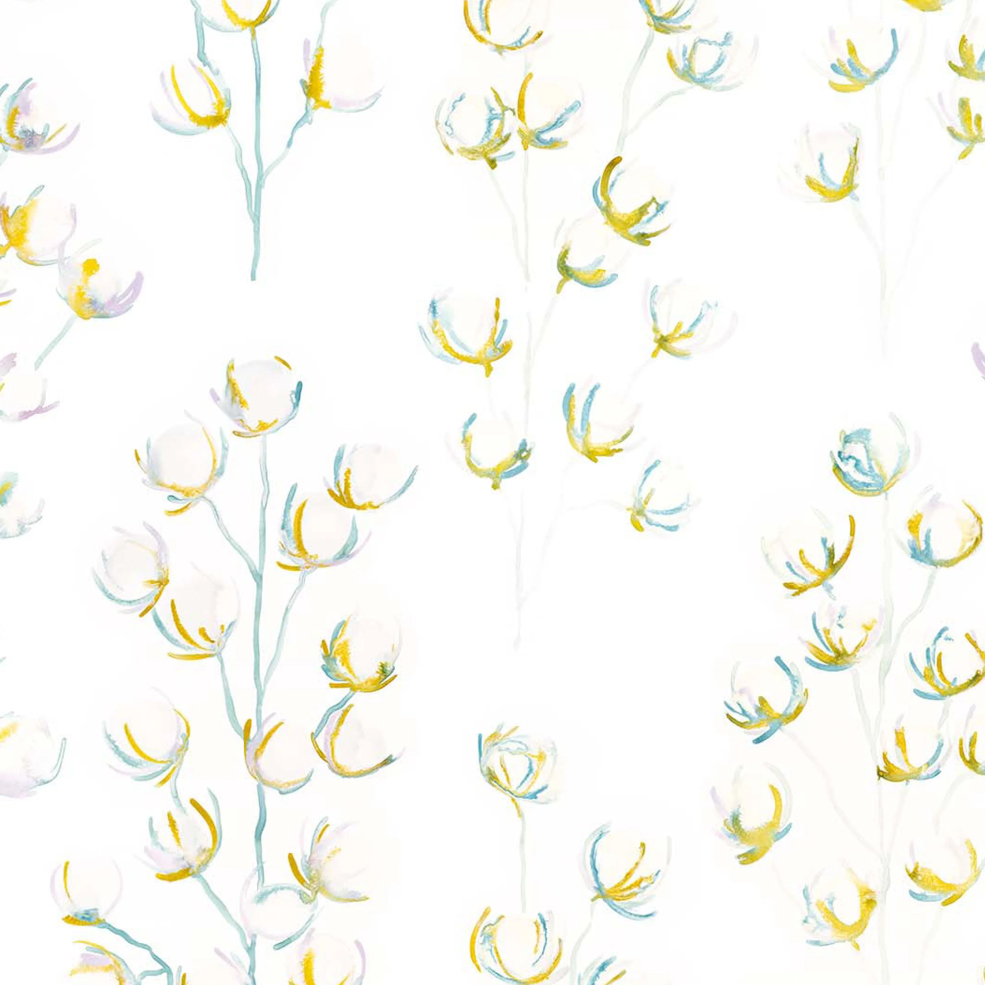 Ashley-Meadow Oyster 0021