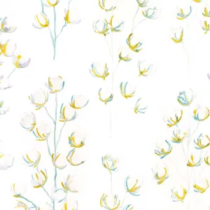 Ashley-Meadow Oyster 0021