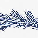 Atoll Guest Towels