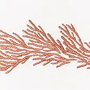 Atoll Guest Towels