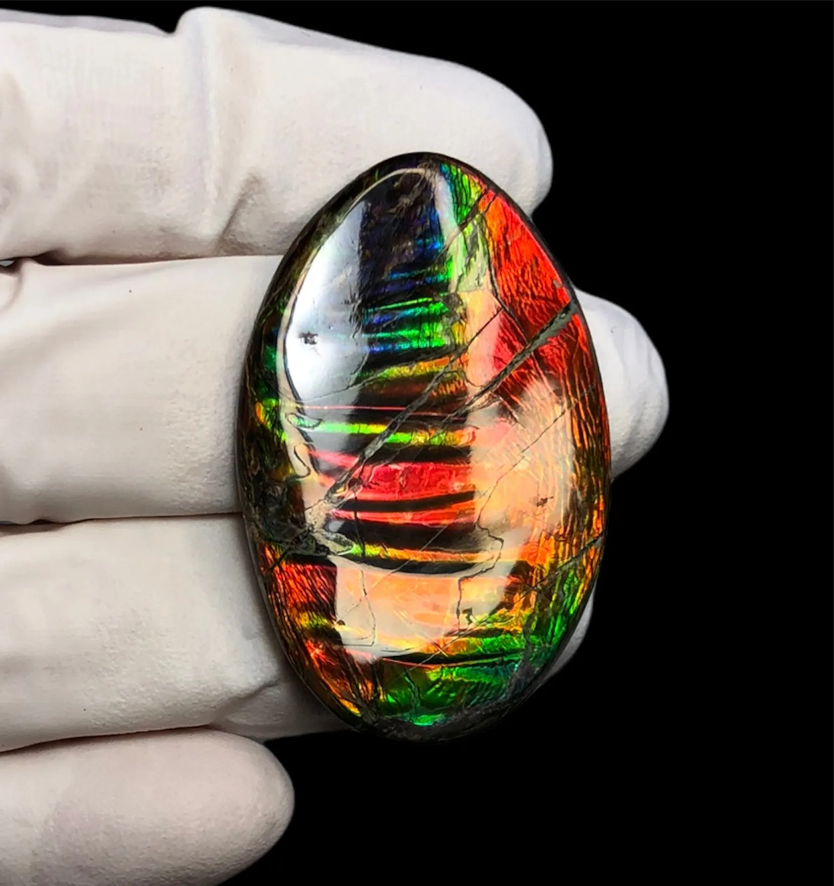 Auction Closed! Free shiping🌈🌈Auction!! **Please read the description** Rainbow Striatons! Natural hand polished, Free Form . FFNT166 Ammolite High Grade.