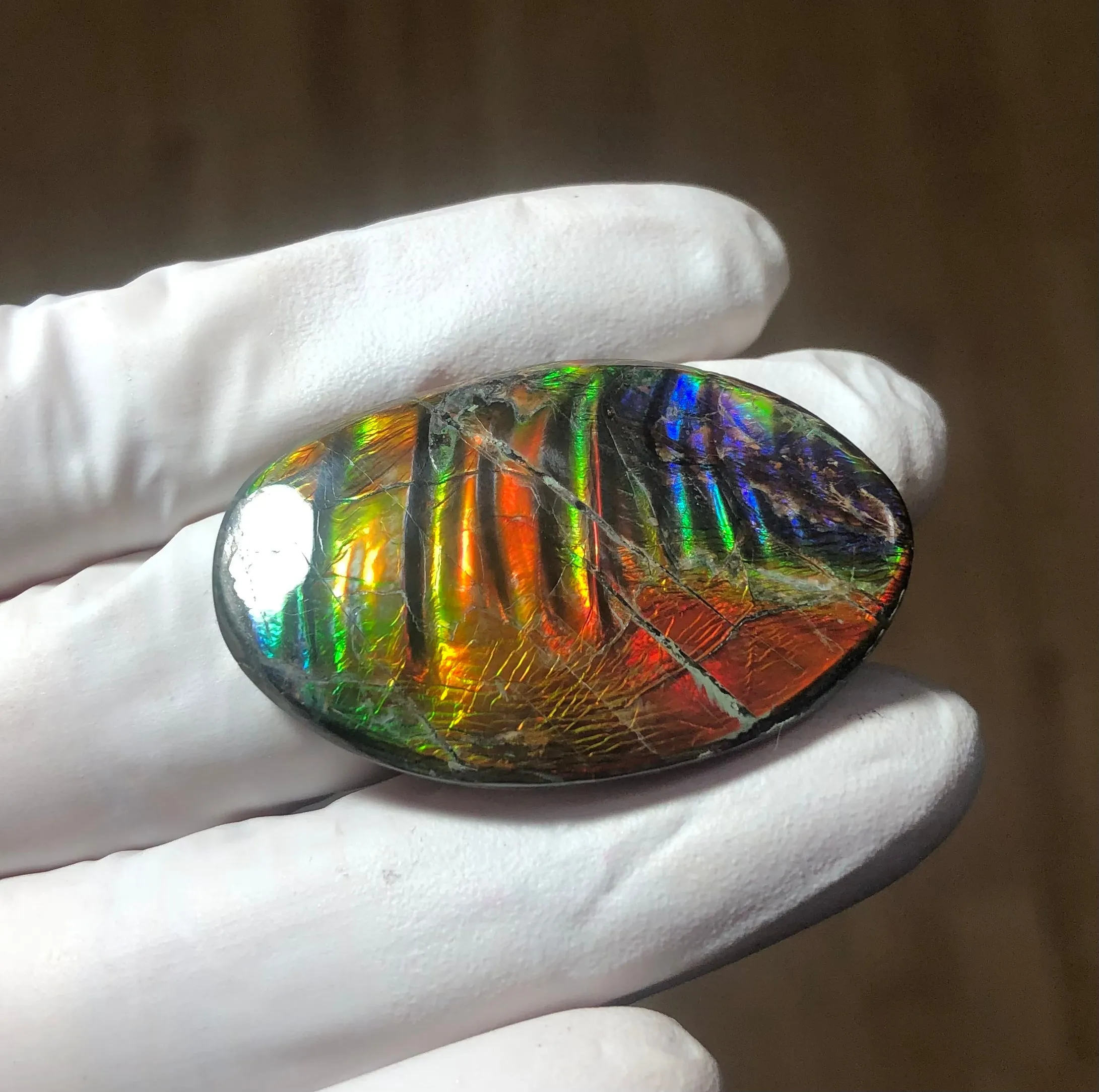 Auction Closed! Free shiping🌈🌈Auction!! **Please read the description** Rainbow Striatons! Natural hand polished, Free Form . FFNT166 Ammolite High Grade.