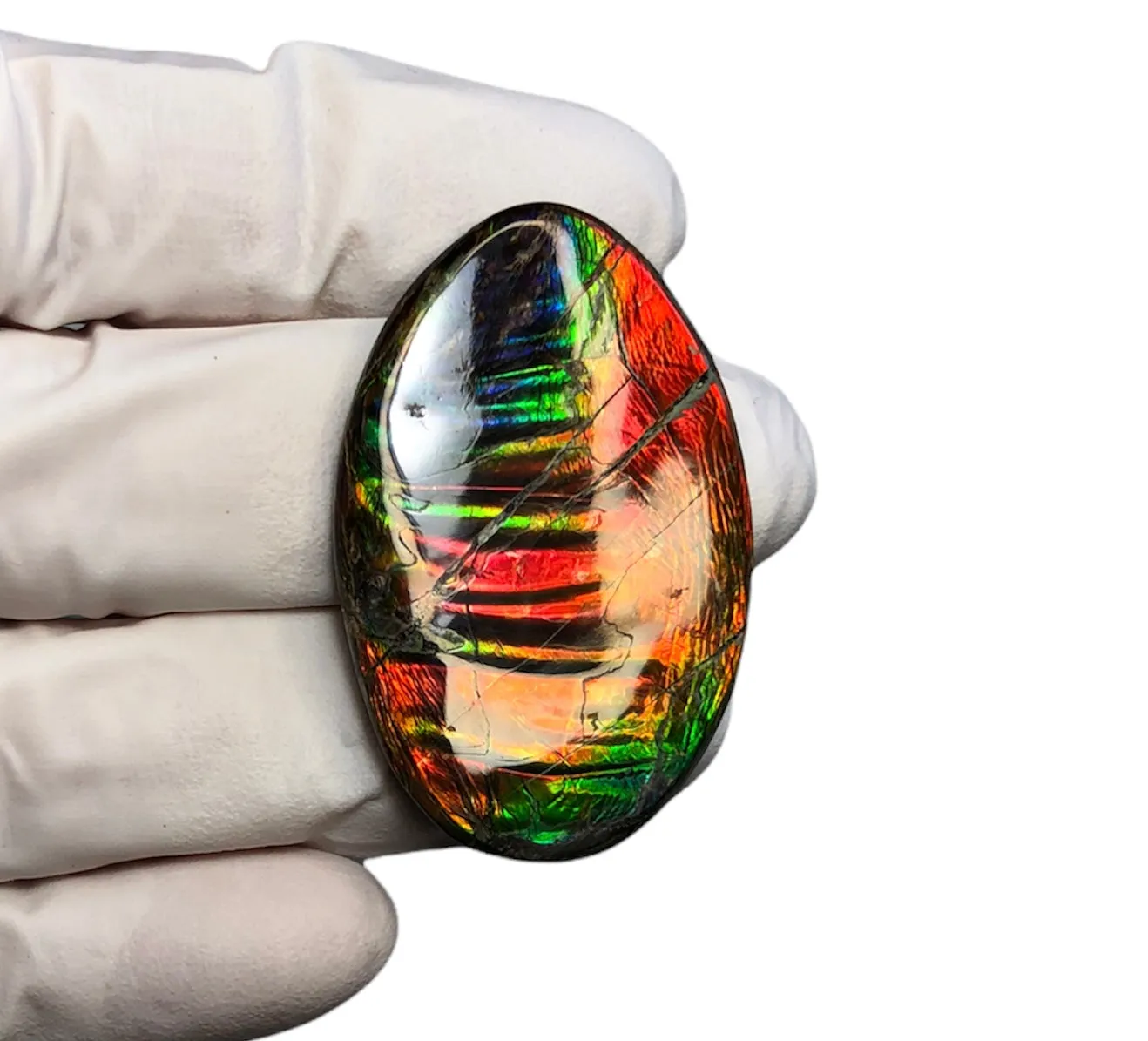 Auction Closed! Free shiping🌈🌈Auction!! **Please read the description** Rainbow Striatons! Natural hand polished, Free Form . FFNT166 Ammolite High Grade.