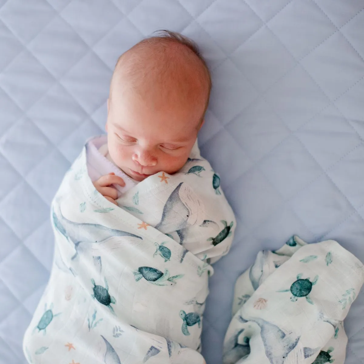 Bambella Bamboo Cotton Muslin Swaddle Wrap - Turtle Bay