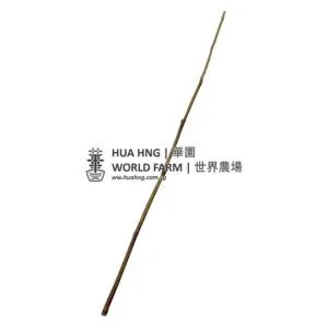 Bamboo Stick (5 feet, 5 – 10mmØ)