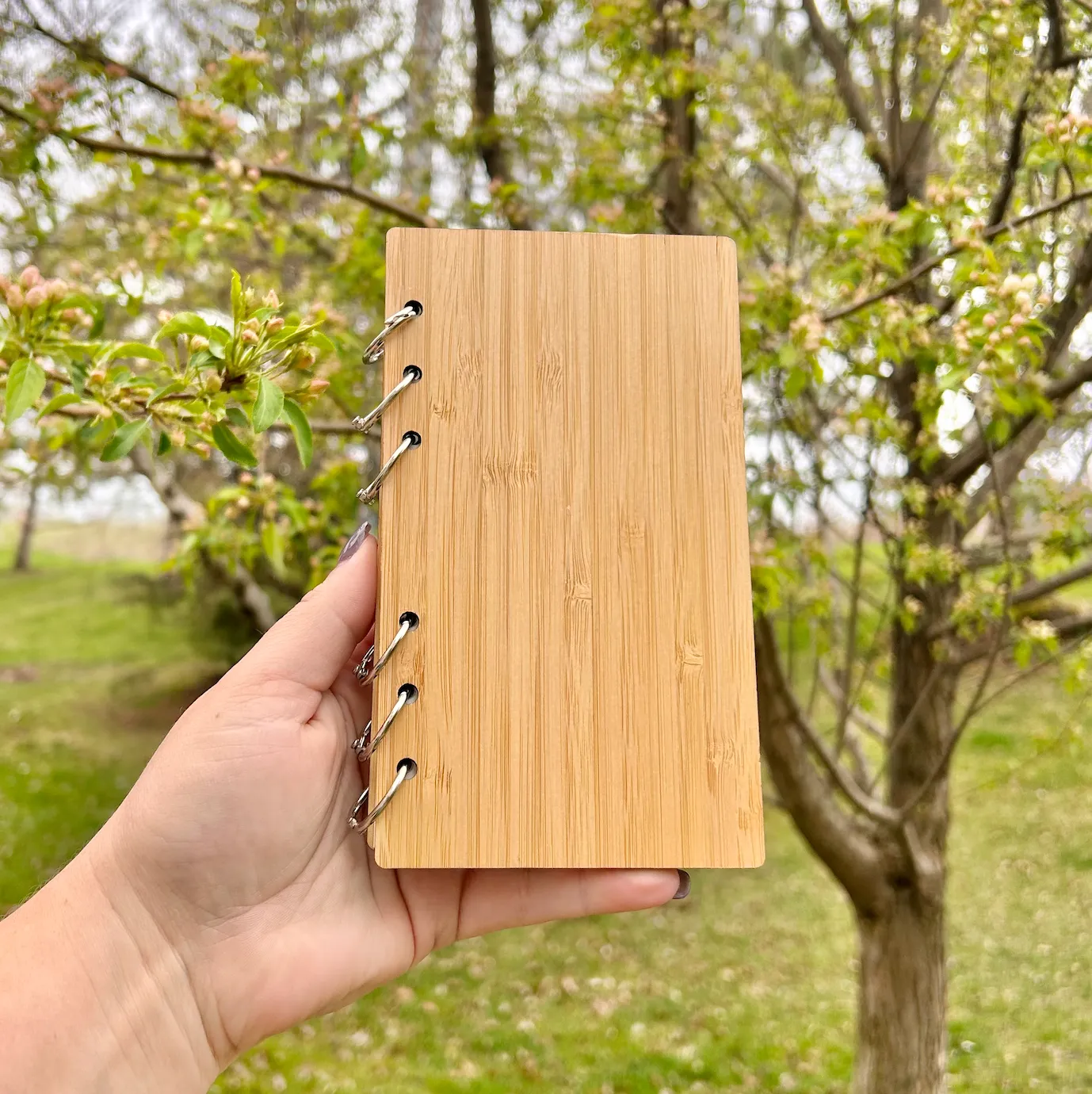 Bamboo Switch - Bamboo Ringed Notebook