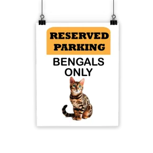 Bengals only Classic Poster