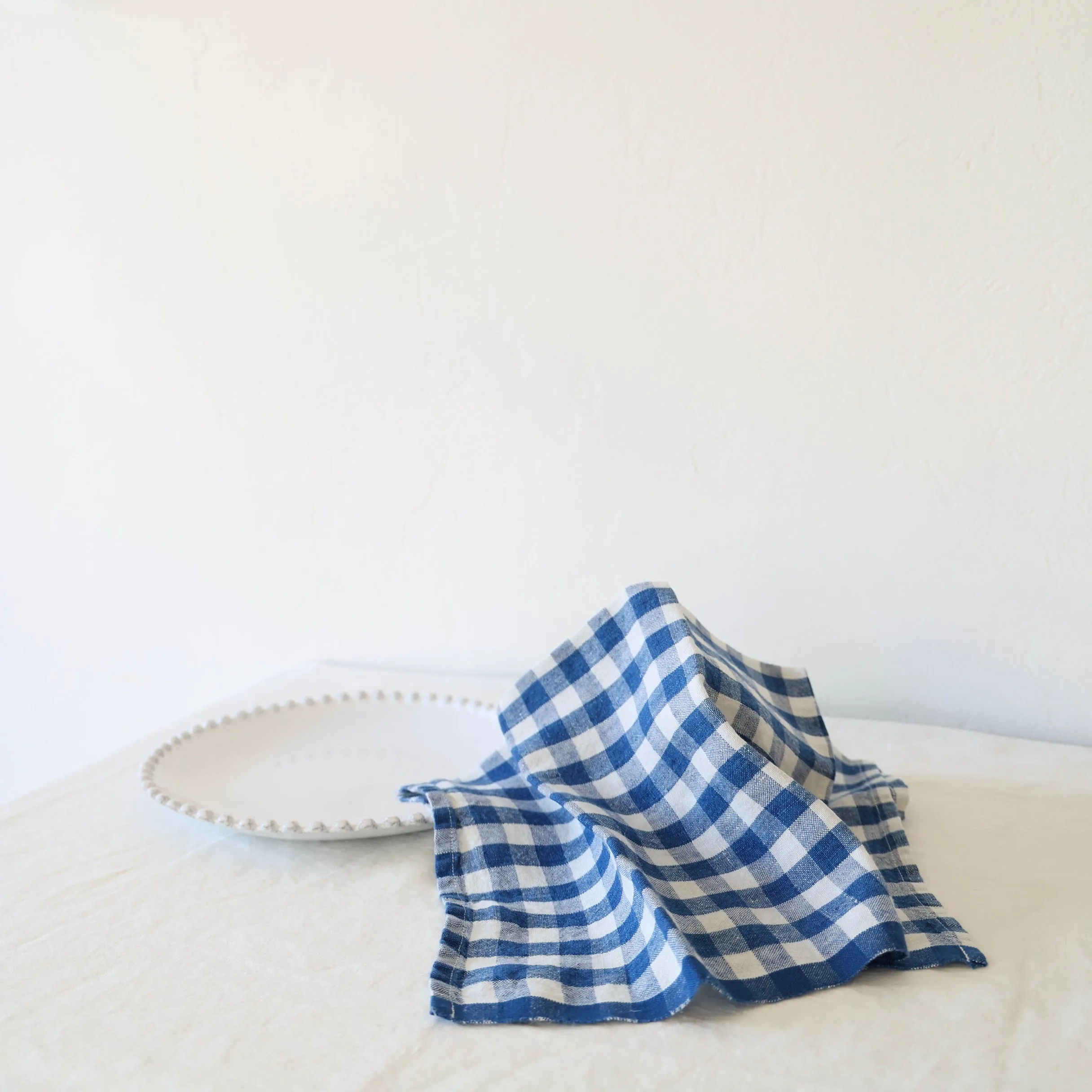 Caravan Set of 4 Picnic Napkins - Blue