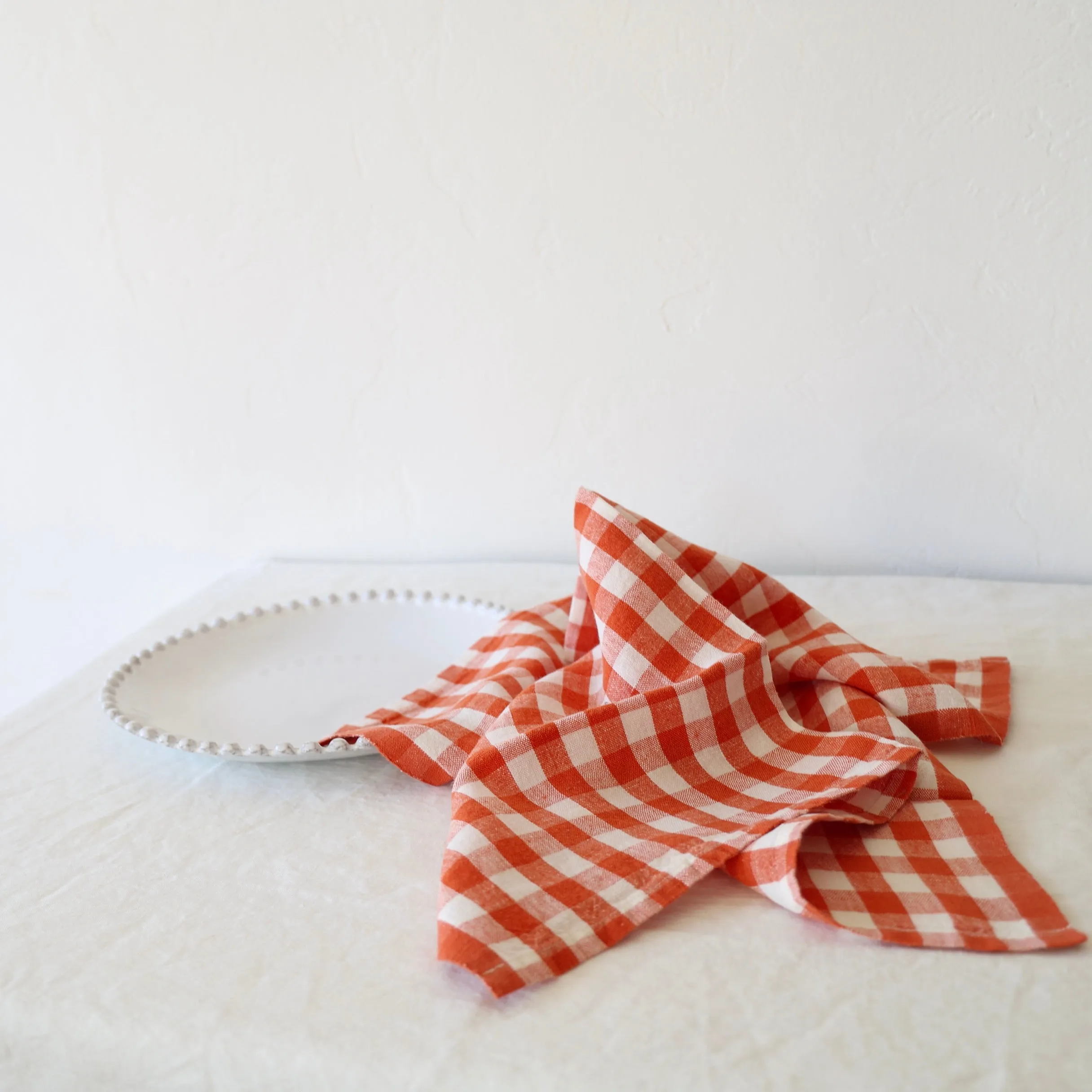 Caravan Set of 4 Picnic Napkins - Clementine