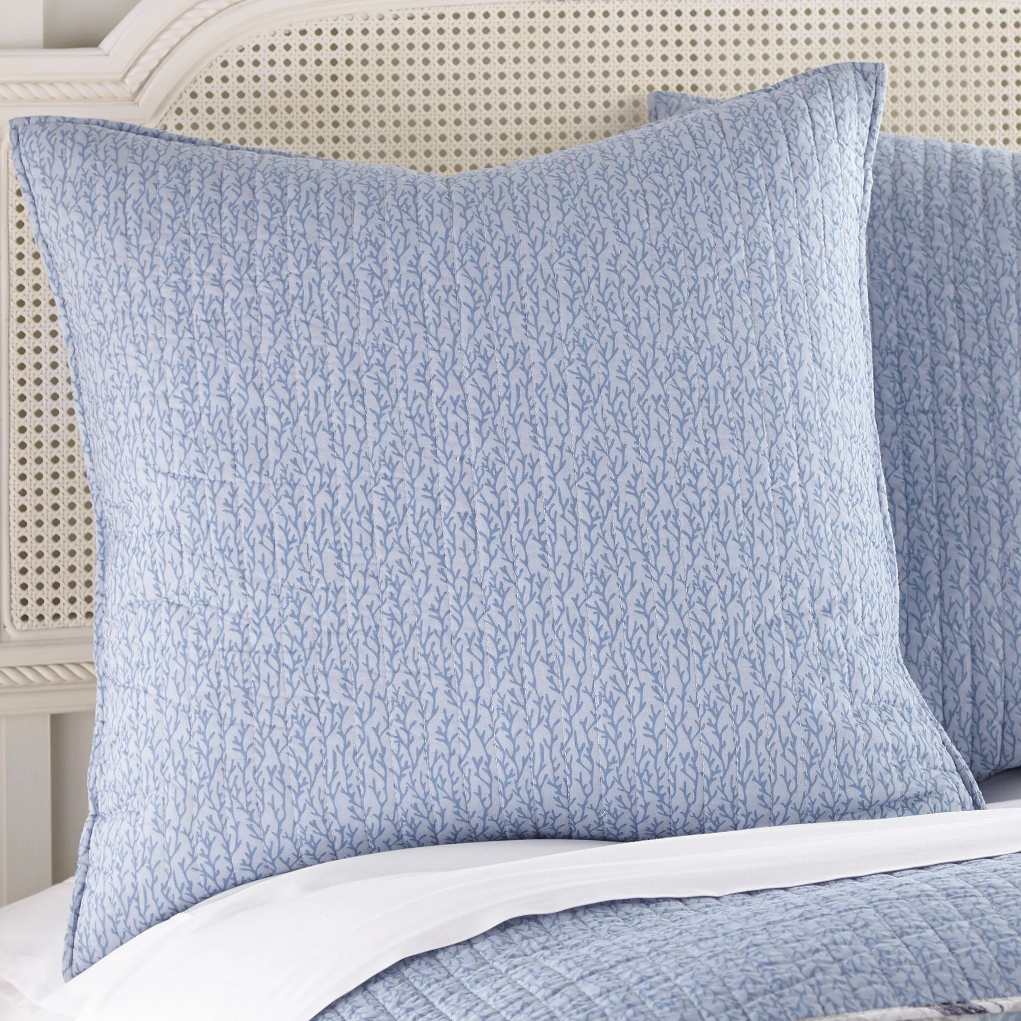 Cerralvo Euro Sham set of 2
