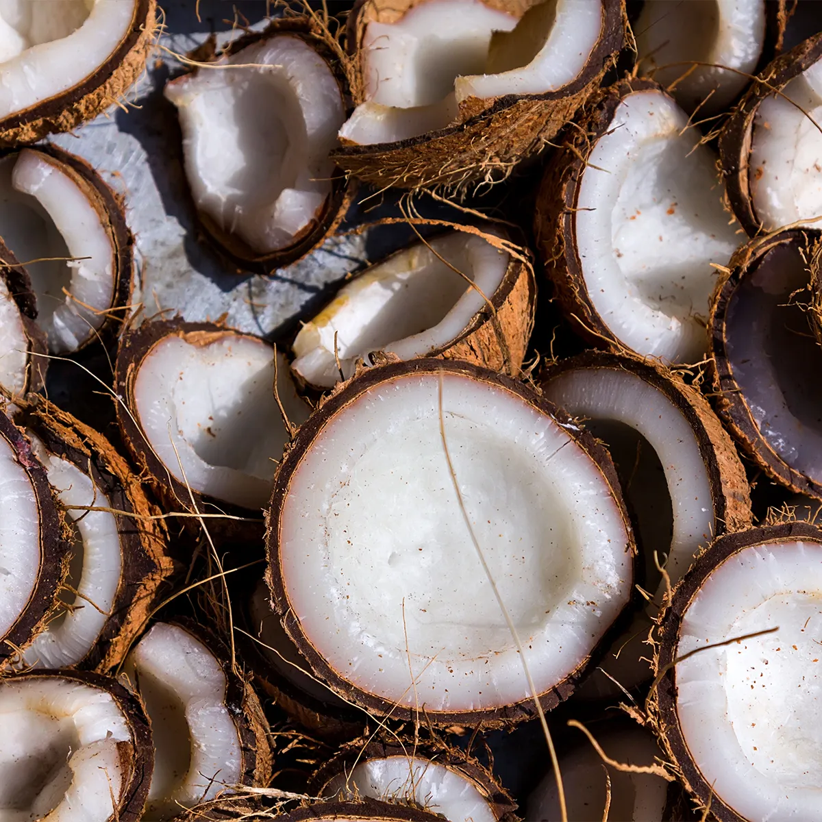 Coconut Hydro Gelée