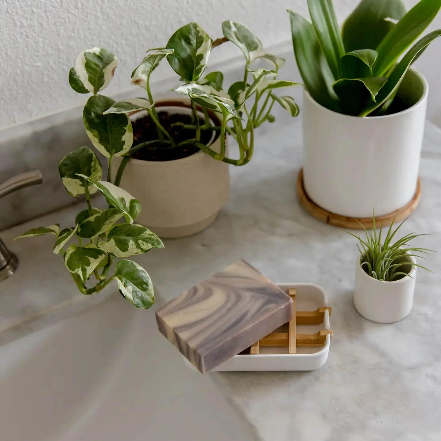 Earth Ahead | Biodegradable Soap Dish