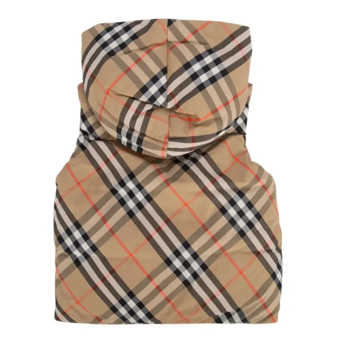 IB6 MN AXEL GILET