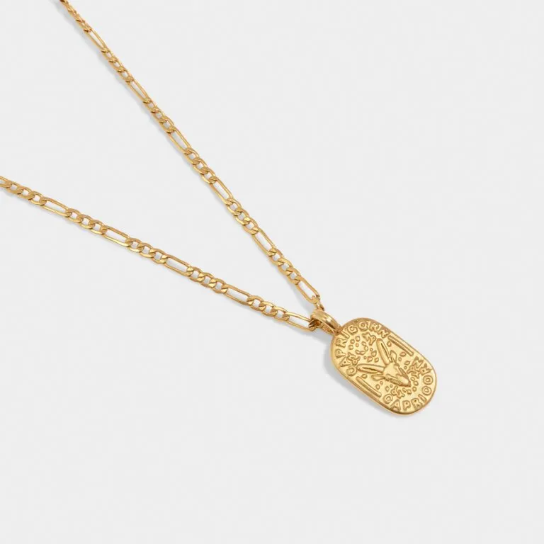 Katie Loxton Waterproof Gold Capricorn Zodiac Necklace
