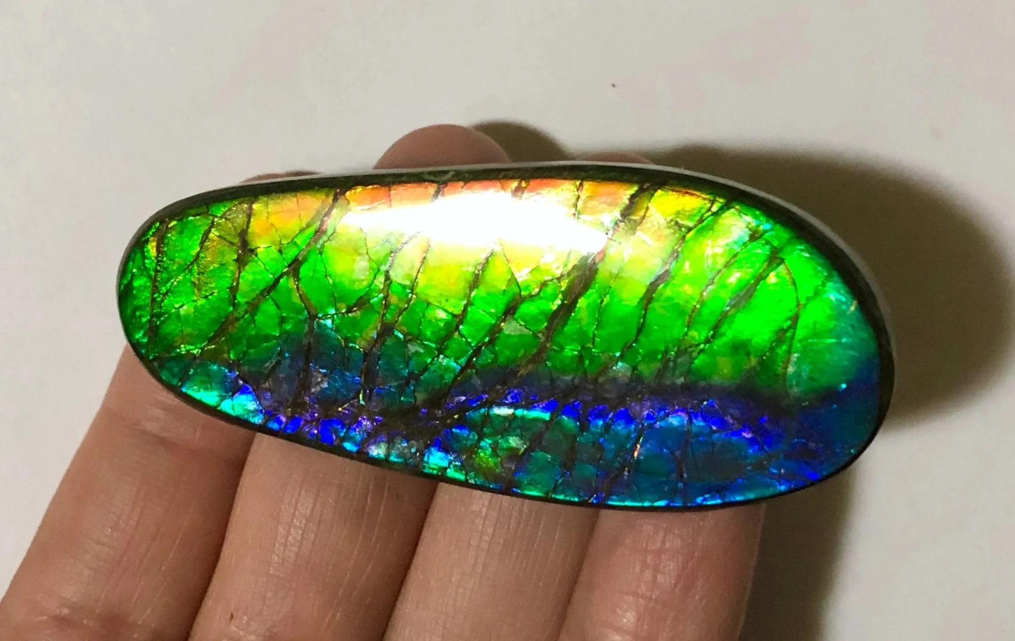 LARGE Rainbow colors  60x25 mm  Top Grade Natural  Free Form . FFNT 141 Ammolite  レインボーカラー！ナチュラル　ルース　アンモライト ケース付！