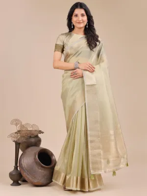 Light Green Organza Saree
