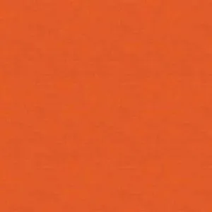 Linen Texture Burnt Orange