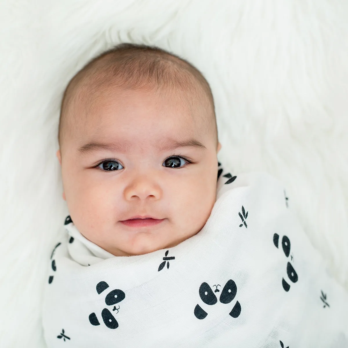 Lulujo Bamboo Modern Collection - Panda