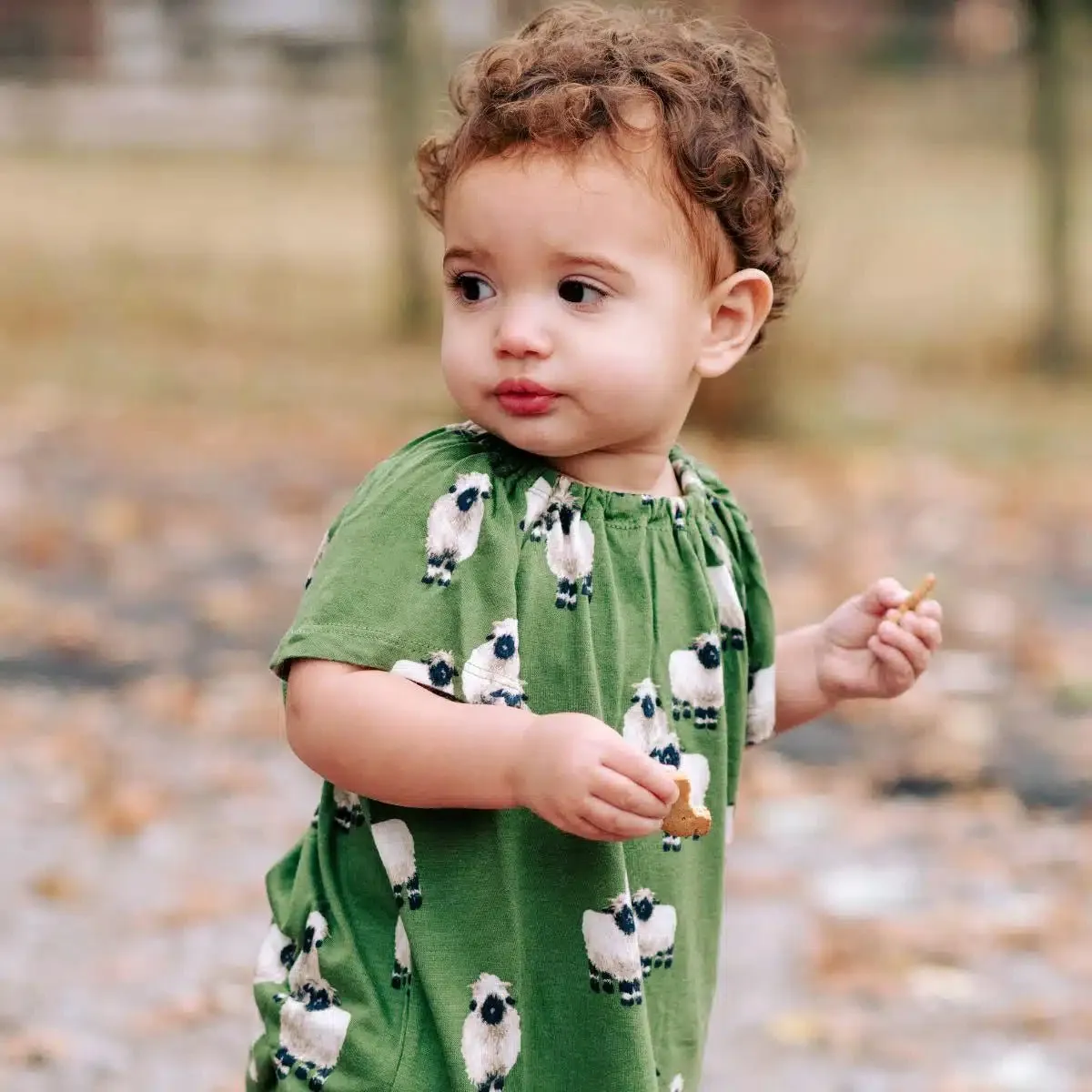 Milkbarn Bamboo Dress & Bloomer Valais Sheep