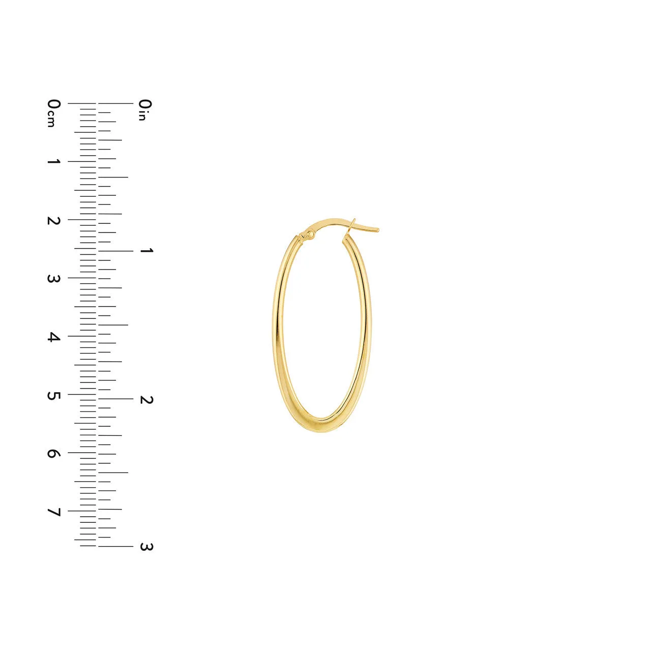 Oval Hoop Earrings
