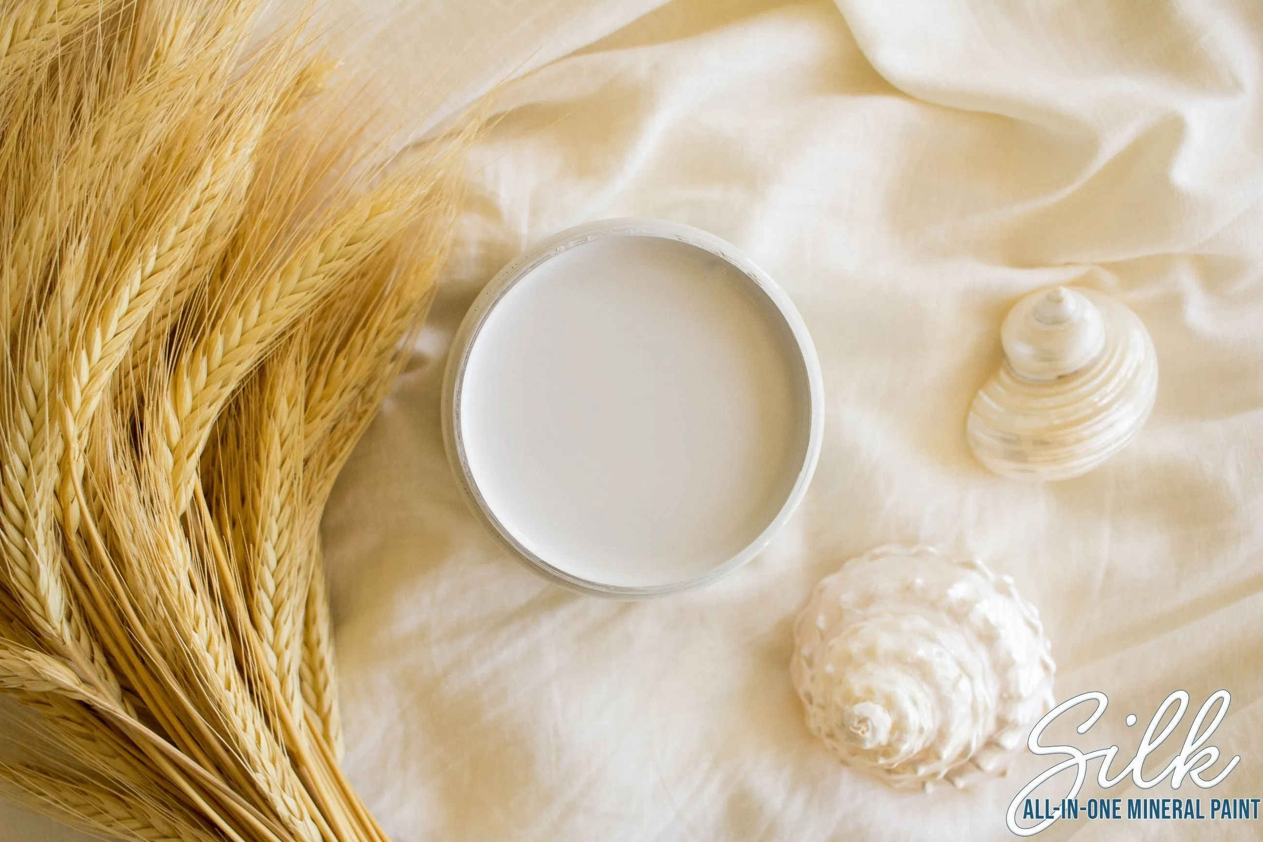 Oyster Silk All-In-One Mineral Paint