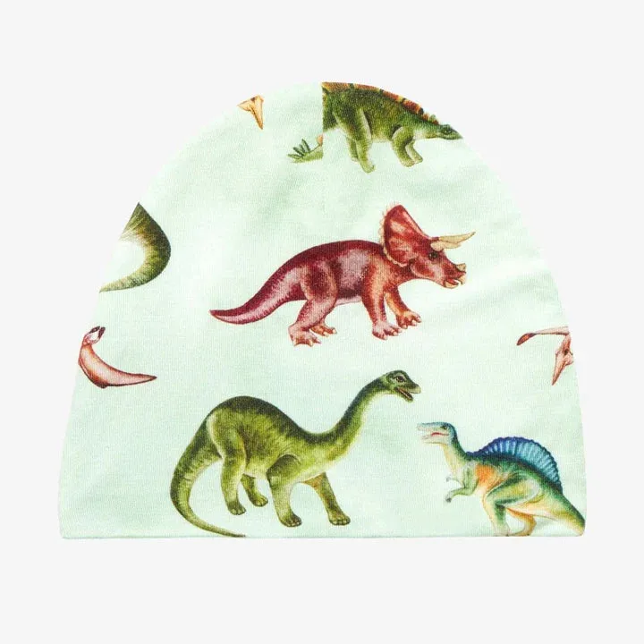 Posh Peanut Buddy- Infant Swaddle & Beanie Set