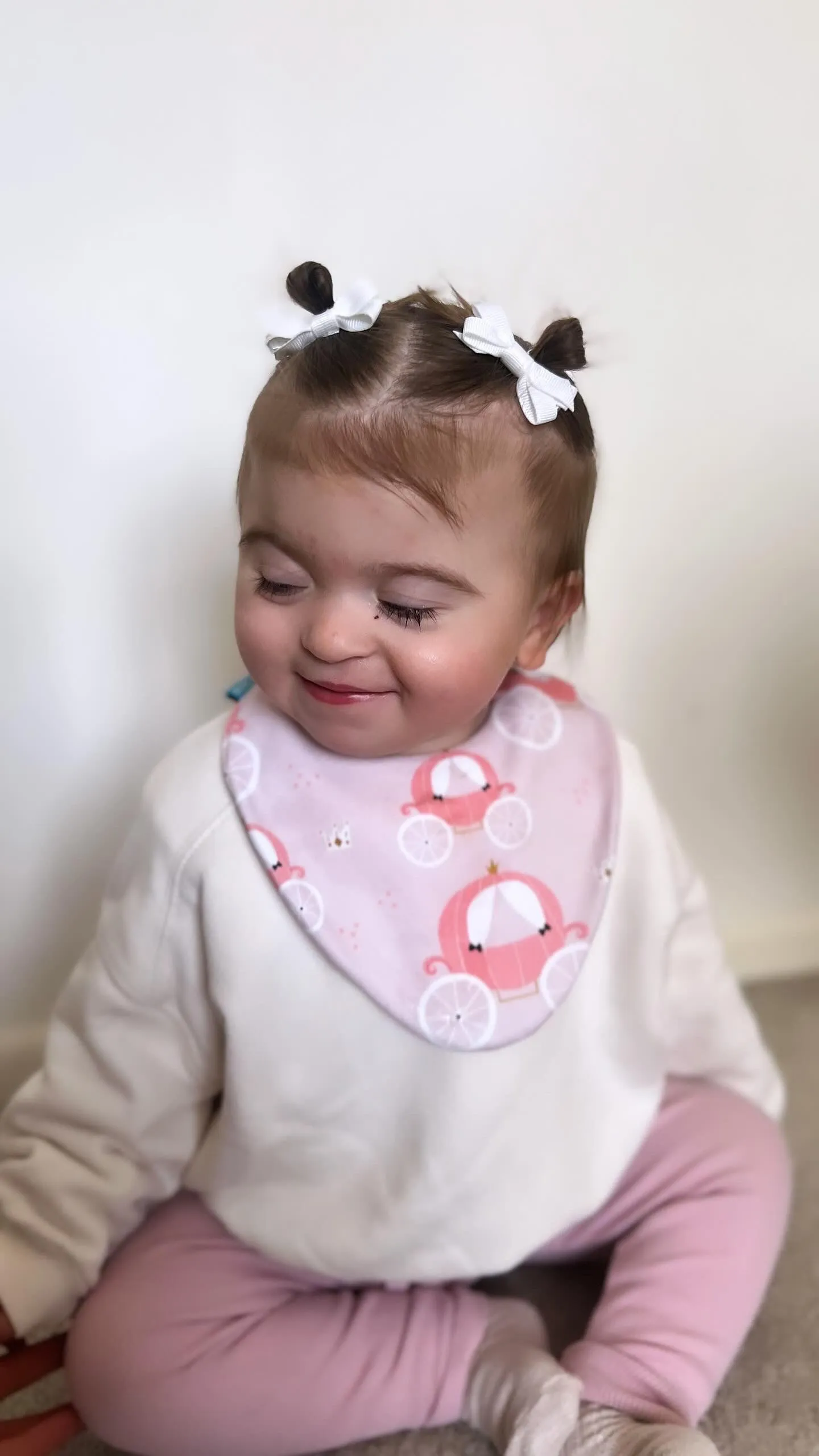 Princess Carriage Waterproof Dribble Bib
