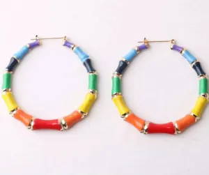 Rainbow Hoop Earrings