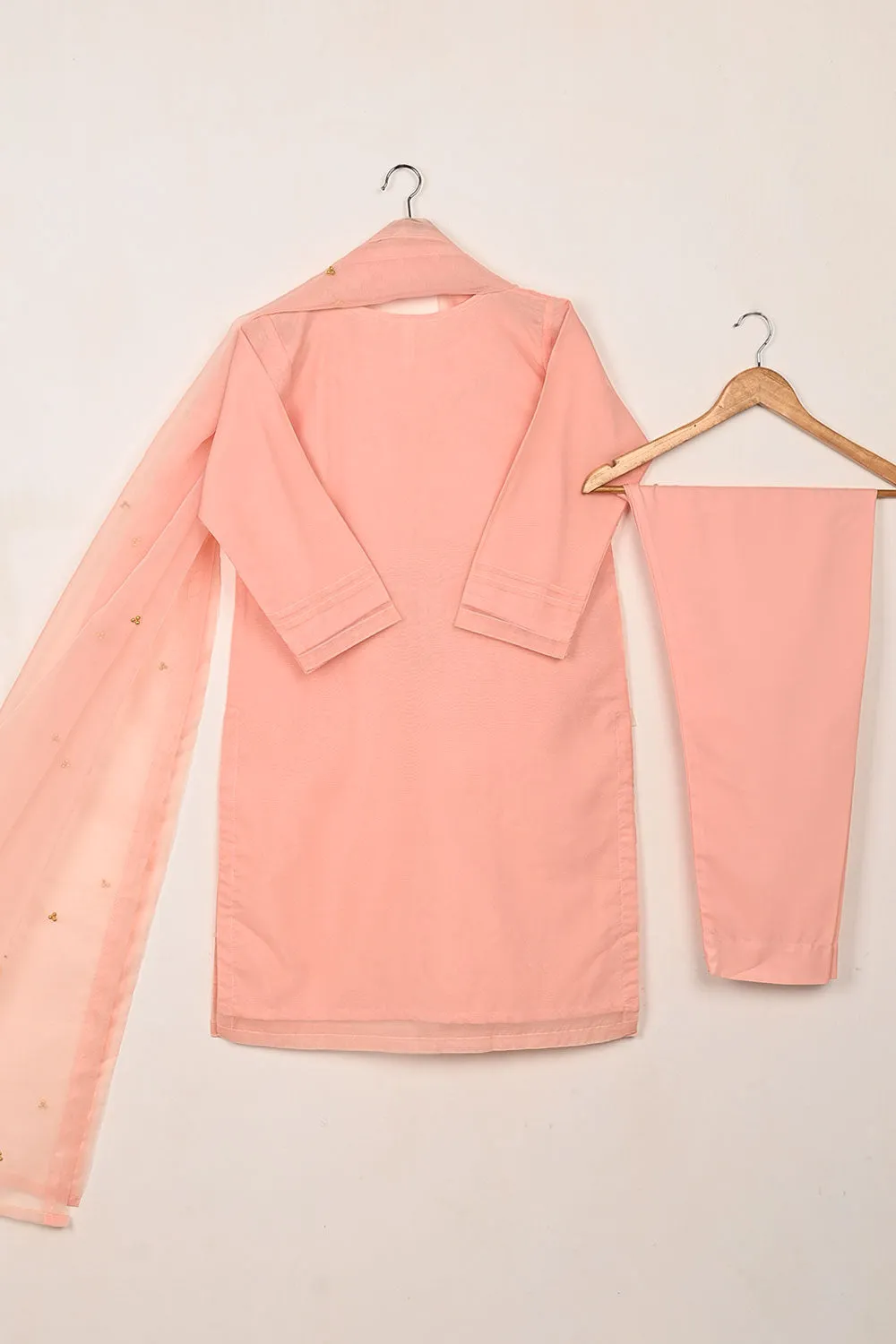 RTW-270-Peachy Pink - 3Pc Ready to Wear Embroidered Premium Adda Work Organza Dress